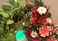 IMG_0103
